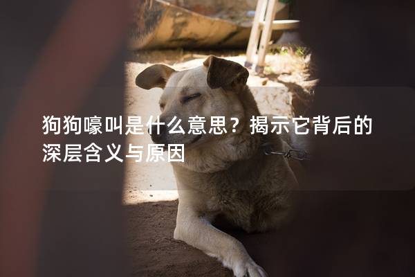 狗狗嚎叫是什么意思？揭示它背后的深层含义与原因