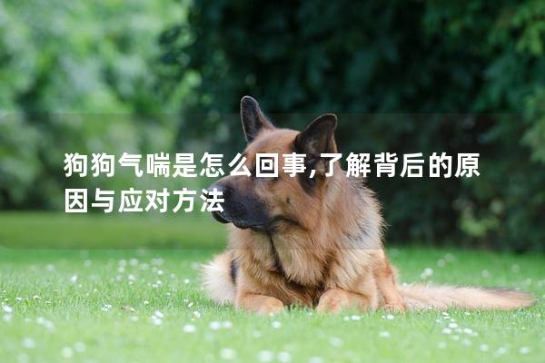 狗狗气喘是怎么回事,了解背后的原因与应对方法