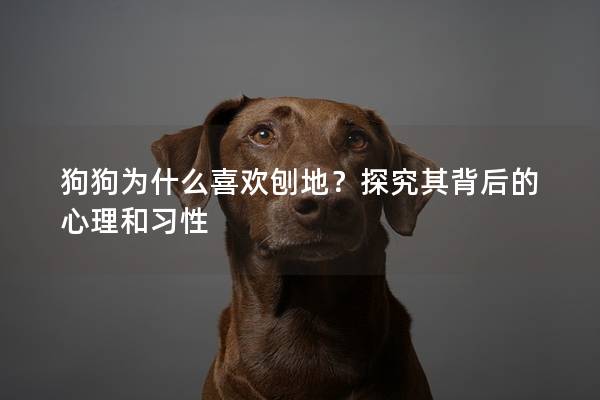 狗狗为什么喜欢刨地？探究其背后的心理和习性
