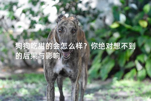 狗狗吃甜的会怎么样？你绝对想不到的后果与影响