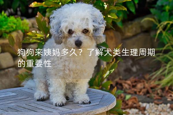 狗狗来姨妈多久？了解犬类生理周期的重要性