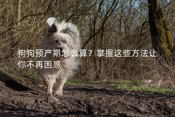 狗狗预产期怎么算？掌握这些方法让你不再困惑