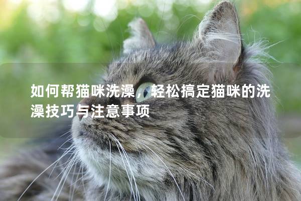 如何帮猫咪洗澡,轻松搞定猫咪的洗澡技巧与注意事项 如何帮猫咪洗澡,轻松搞定猫咪的洗澡技巧与注意事项