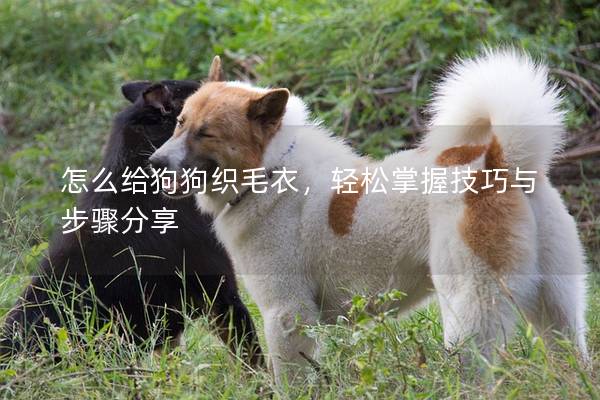 怎么给狗狗织毛衣，轻松掌握技巧与步骤分享