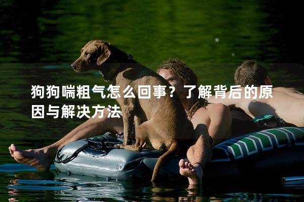 狗狗喘粗气怎么回事？了解背后的原因与解决方法