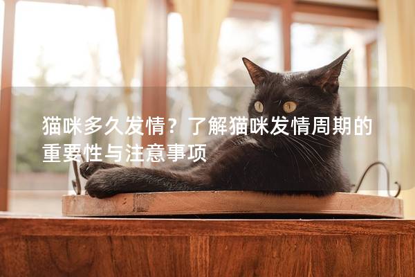 猫咪多久发情？了解猫咪发情周期的重要性与注意事项