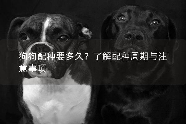 狗狗配种要多久？了解配种周期与注意事项