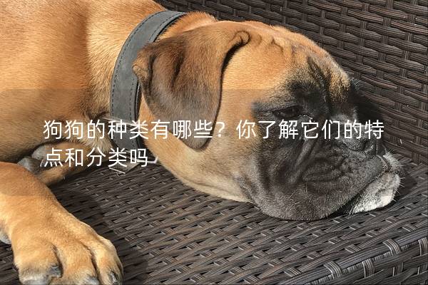 狗狗的种类有哪些？你了解它们的特点和分类吗