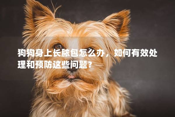 狗狗身上长脓包怎么办，如何有效处理和预防这些问题？