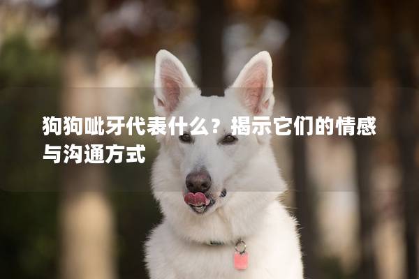 狗狗呲牙代表什么？揭示它们的情感与沟通方式