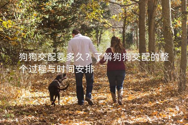 狗狗交配要多久？了解狗狗交配的整个过程与时间安排