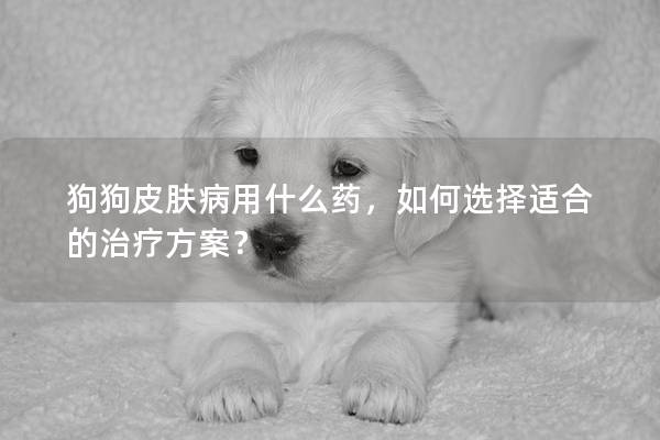 狗狗皮肤病用什么药，如何选择适合的治疗方案？