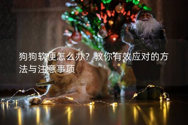 狗狗软便怎么办？教你有效应对的方法与注意事项