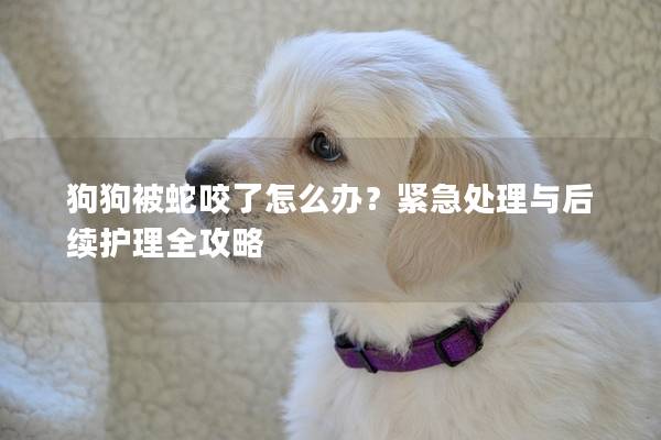 狗狗被蛇咬了怎么办?紧急处理与后续护理全攻略 狗狗被蛇咬了怎么办?紧急处理与后续护理全攻略