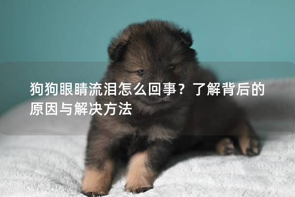 狗狗眼睛流泪怎么回事？了解背后的原因与解决方法