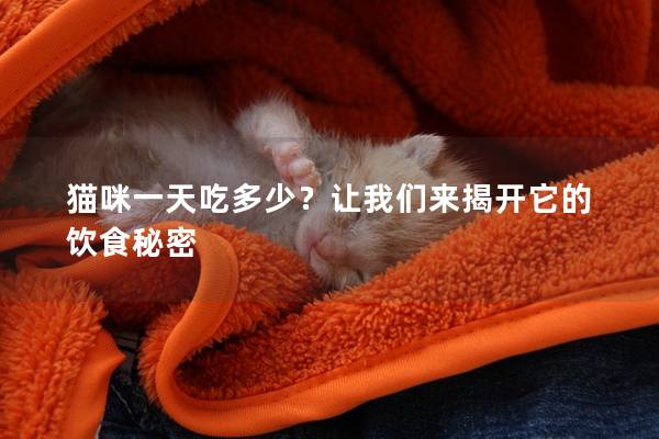 猫咪一天吃多少？让我们来揭开它的饮食秘密