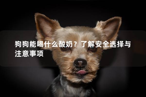 狗狗能喝什么酸奶？了解安全选择与注意事项