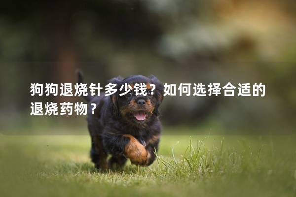 狗狗退烧针多少钱？如何选择合适的退烧药物？