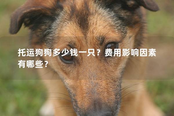 托运狗<a href=