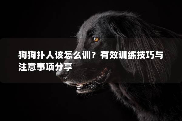 狗狗扑人该怎么训？有效训练技巧与注意事项分享