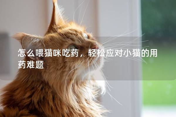 怎么喂猫咪吃药，轻松应对小猫的用药难题