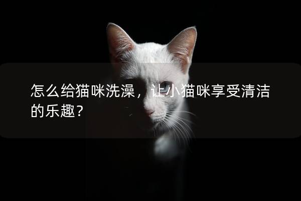 怎么给猫咪洗澡，让小猫咪享受清洁的乐趣？