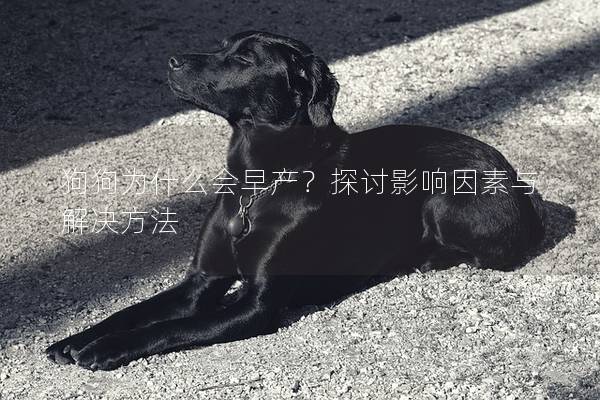 狗狗为什么会早产？探讨影响因素与解决方法