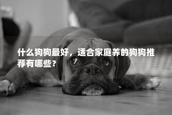 什么狗狗最好,适合家庭养的狗狗推荐有哪些? 什么狗狗最好,适合家庭养的狗狗推荐有哪些?