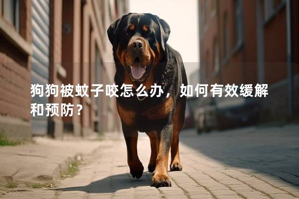 狗狗被蚊子咬怎么办，如何有效缓解和预防？