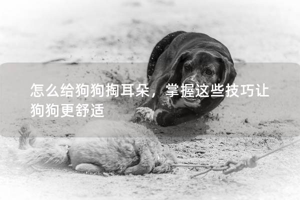 怎么给狗狗掏耳朵，掌握这些技巧让狗狗更舒适