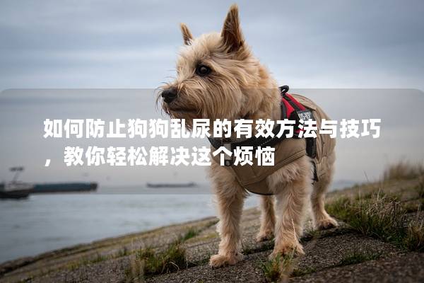 如何防止狗狗乱尿的有效方法与技巧，教你轻松解决这个烦恼