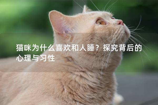 猫咪为什么喜欢和人睡？探究背后的心理与习性