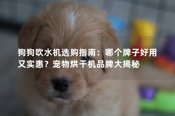 狗狗吹水机选购指南：哪个牌子好用又实惠？宠物烘干机品牌大揭秘