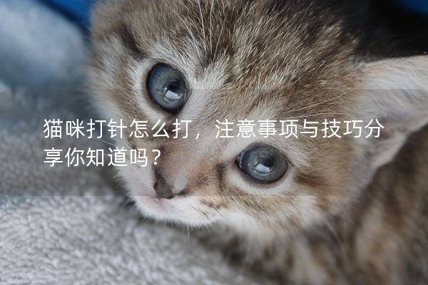 猫咪打针怎么打，注意事项与技巧分享你知道吗？