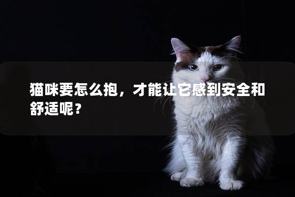 猫咪要怎么抱,才能让它感到安全和舒适呢? 猫咪要怎么抱,才能让它感到安全和舒适呢?