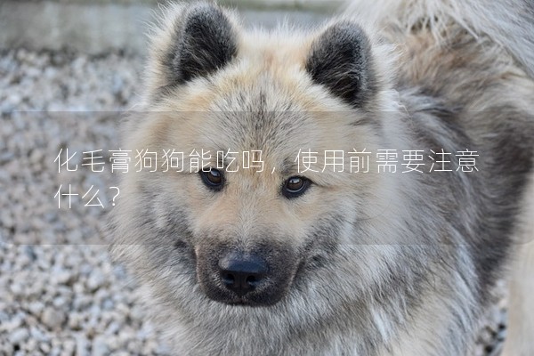 化毛膏狗狗能吃吗，使用前需要注意什么？
