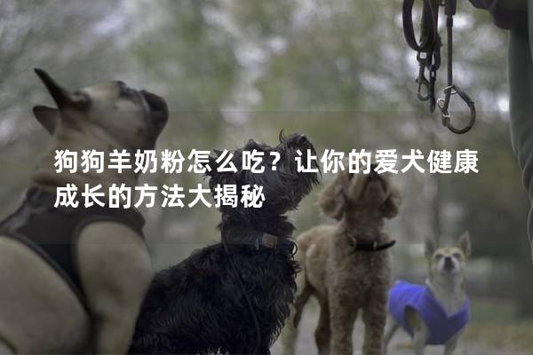 狗狗羊奶粉怎么吃？让你的爱犬健康成长的方法大揭秘