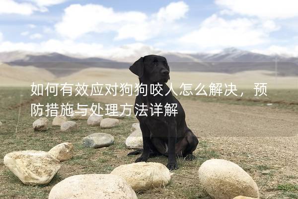 如何有效应对狗狗咬人怎么解决，预防措施与处理方法详解