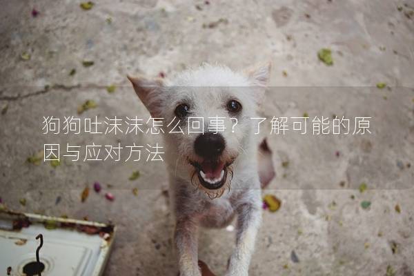 狗狗吐沫沫怎么回事?了解可能的原因与应对方法 狗狗吐沫沫怎么回事?了解可能的原因与应对方法