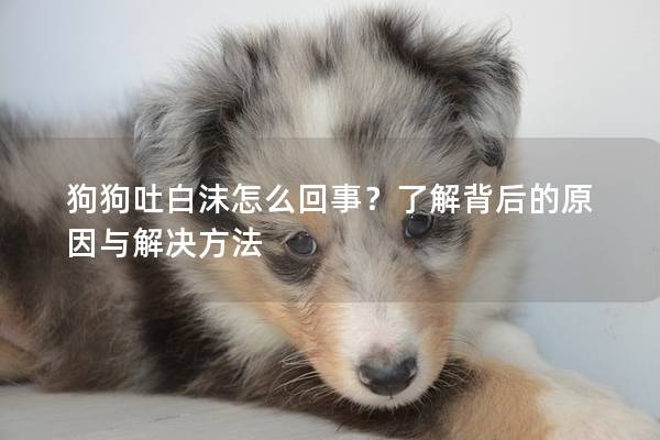 狗狗吐白沫怎么回事?了解背后的原因与解决方法 狗狗吐白沫怎么回事?了解背后的原因与解决方法