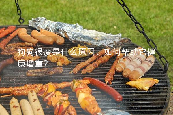 狗狗很瘦是什么原因，如何帮助它健康增重？