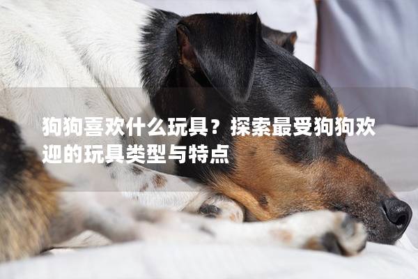 狗狗喜欢什么玩具?探索最受狗狗欢迎的玩具类型与特点 狗狗喜欢什么玩具?探索最受狗狗欢迎的玩具类型与特点