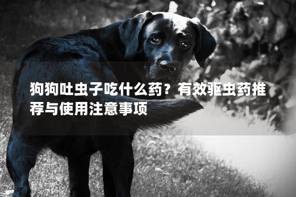 狗狗吐虫子吃什么药？有效驱虫药推荐与使用注意事项