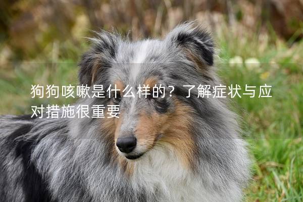 狗狗咳嗽是什么样的？了解症状与应对措施很重要
