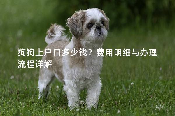狗狗上户口多少钱？费用明细与办理流程详解