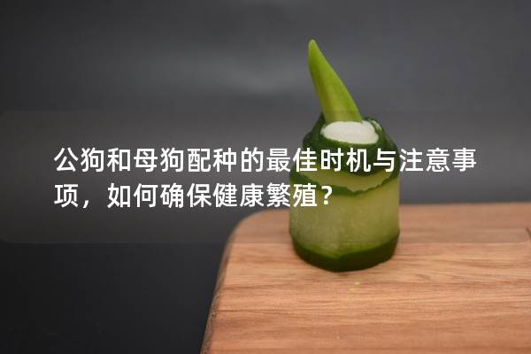 公狗和母狗配种的最佳时机与注意事项，如何确保健康繁殖？