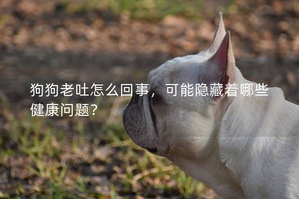 狗狗老吐怎么回事，可能隐藏着哪些健康问题？
