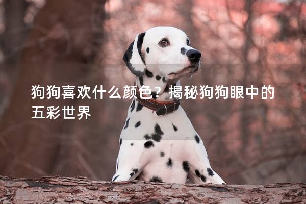 狗狗喜欢什么颜色？揭秘狗狗眼中的五彩世界
