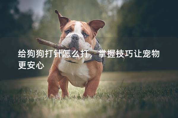 给狗狗打针怎么打，掌握技巧让宠物更安心