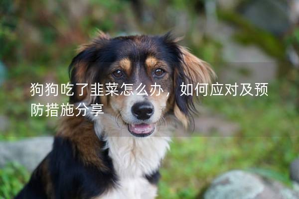 狗狗吃了韭菜怎么办，如何应对及预防措施分享